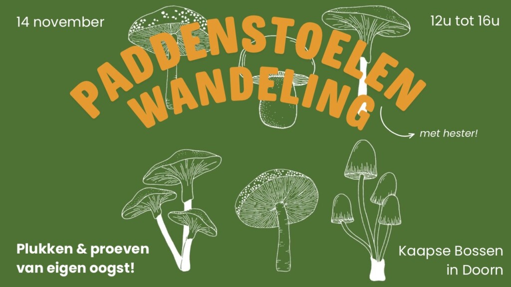 Wildplukwandeling: paddenstoelen zoeken!