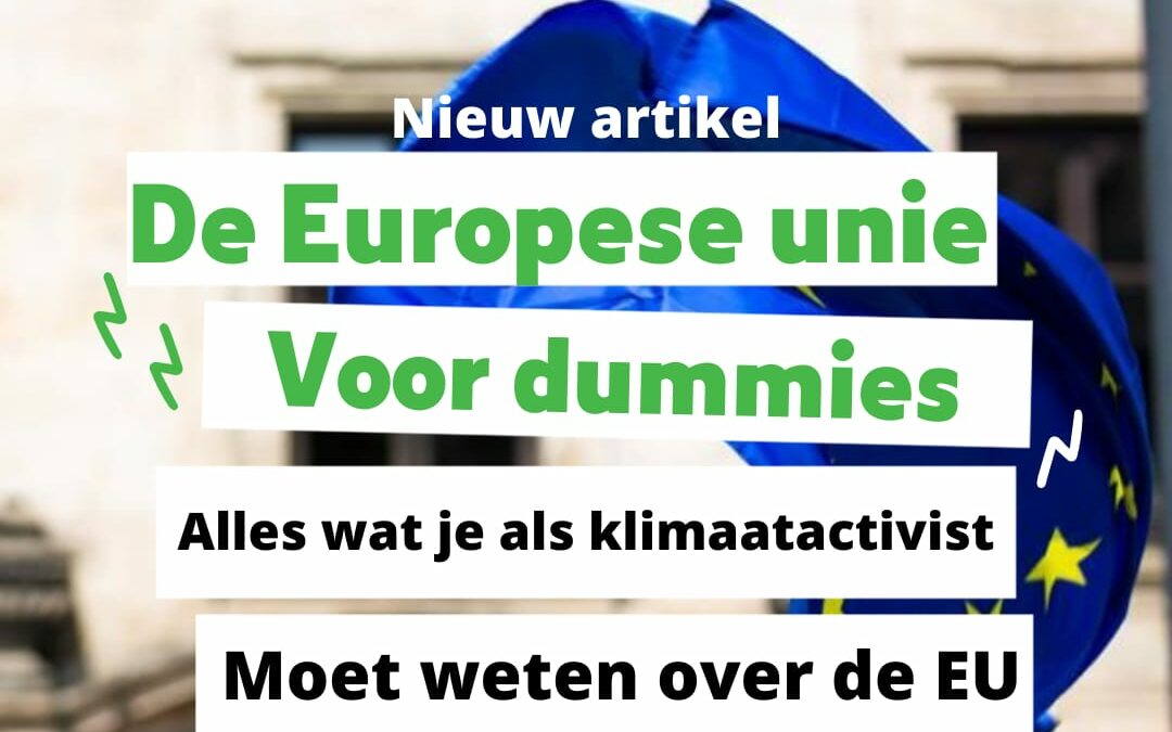 De Europese Unie voor dummies