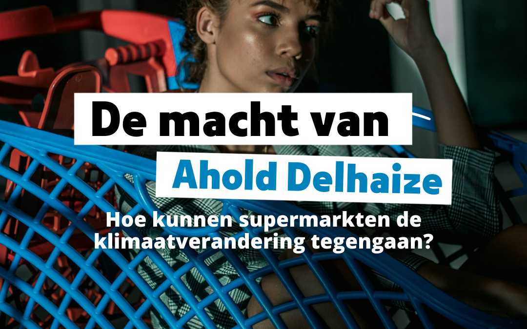De macht van Ahold Delhaize: Hoe kunnen supermarkten de klimaatverandering tegengaan?